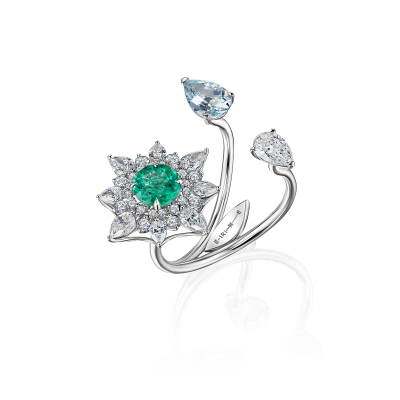 R19-FD-002-6 Кольцо (750)