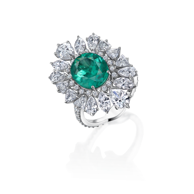 R09-FD-003-6 Кольцо (750)