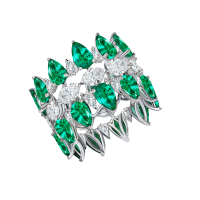 R06-FD-003-6 Кольцо (750)